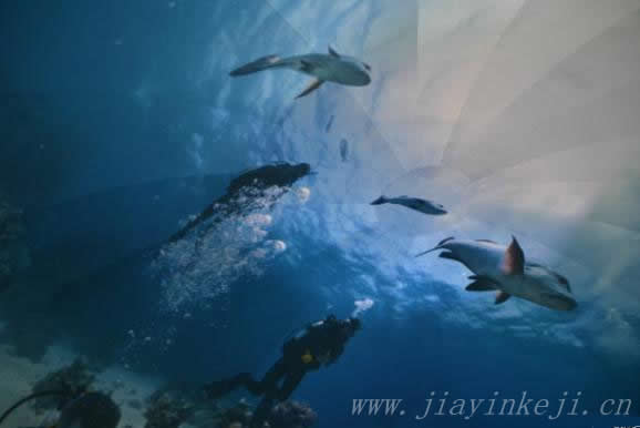 360��ˮ��ȫ�����飬Google Maps����̽�պ����